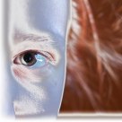 The eye